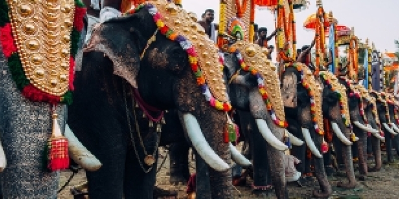 Most Adventurous Activities in Chennai, India