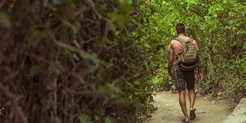 Conquering the Himalayas: India’s Highest Treks