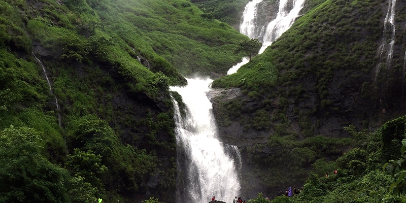 Get soaked in immense natural abundance by visiting these five great waterfalls in North East India