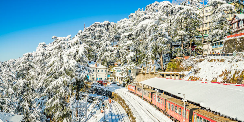 Best Hotels in Shimla: A Luxurious Stay in the Queen of Hills