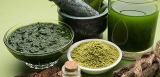 Ayurveda in India Get to know the most holistic way of treating the human body