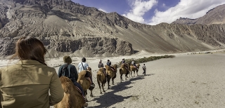 Experience the vibrancy of Naropa Festival in Ladakh